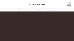 What Yildizholding.com.tr website looked like in 2020 (4 years ago)