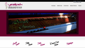 What Yesilipek.com website looked like in 2020 (5 years ago)