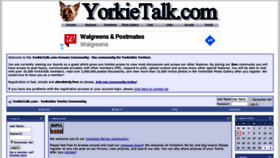 What Yorkietalk.com website looked like in 2020 (3 years ago)