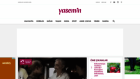 What Yasemin.com website looked like in 2020 (3 years ago)