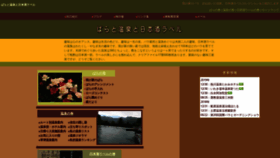 What Yanagy.jp website looked like in 2020 (3 years ago)