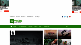 What Yesilist.com website looked like in 2020 (3 years ago)