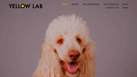 What Yellowlab.co.nz website looked like in 2020 (3 years ago)