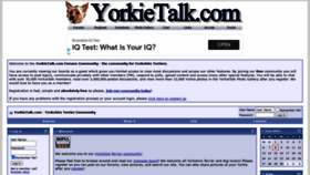 What Yorkietalk.com website looked like in 2021 (2 years ago)
