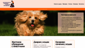 What Yaroshenko.vet website looked like in 2021 (3 years ago)