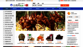 What Ynshangji.com website looked like in 2021 (2 years ago)