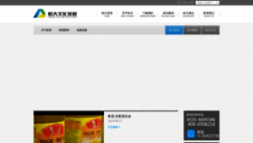 What Yantaihengda.com website looked like in 2022 (1 year ago)