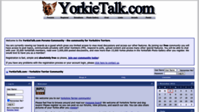 What Yorkietalk.com website looked like in 2022 (1 year ago)
