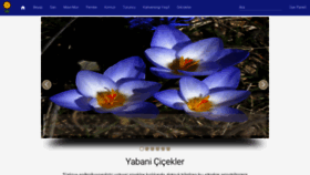 What Yabanicicekler.com website looked like in 2023 (1 year ago)