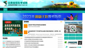 What Ynzs.cn website looked like in 2023 (This year)