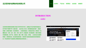 What Yalishuhua.com website looked like in 2023 (This year)