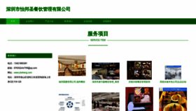 What Ybsheng.com website looked like in 2023 (This year)