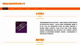 What Yiqifushu.com website looked like in 2023 (This year)
