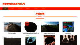 What Youbangfeiye.com website looked like in 2023 (This year)