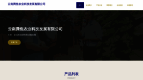 What Yntenjiao.com website looked like in 2023 (This year)