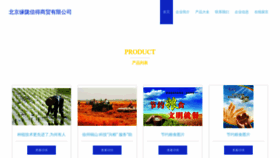 What Yuanlongxinde.com website looked like in 2023 (This year)