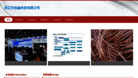 What Youxinshuangliao.com website looked like in 2023 (This year)