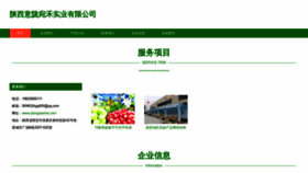 What Yilongwanhe.com website looked like in 2023 (This year)