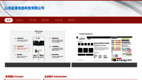 What Yizhangsj.com website looked like in 2023 (This year)