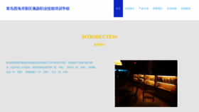 What Ysdpeixun.com website looked like in 2023 (This year)