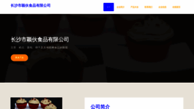What Yinghuofs.com website looked like in 2023 (This year)