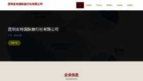 What Ynyou002.com website looked like in 2023 (This year)