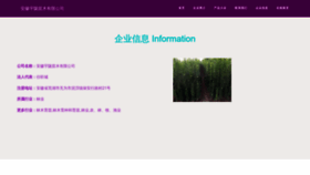 What Yulongjiechi.com website looked like in 2023 (This year)