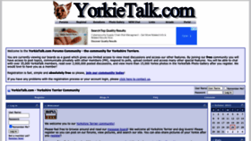 What Yorkietalk.com website looked like in 2023 (This year)