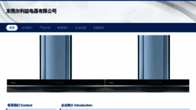 What Yanerly.cn website looked like in 2023 (This year)