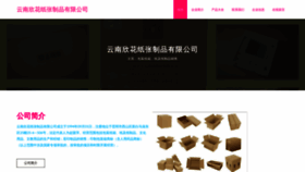 What Yn590.cn website looked like in 2023 (This year)