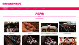 What Yndyo.cn website looked like in 2023 (This year)