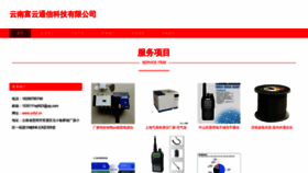 What Ynfyt.cn website looked like in 2023 (This year)