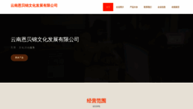What Ynebj.cn website looked like in 2023 (This year)