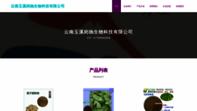 What Yngangchi.cn website looked like in 2023 (This year)