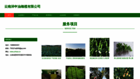 What Ynhszs.cn website looked like in 2023 (This year)