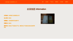 What Ynwangsen.cn website looked like in 2023 (This year)