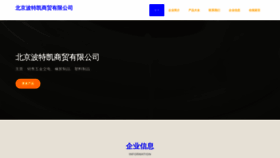 What Youbooks.cn website looked like in 2023 (This year)