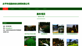 What Ypsbiuc.cn website looked like in 2023 (This year)