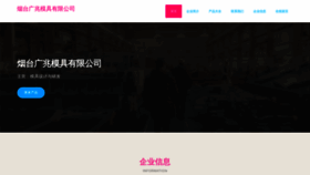 What Ytguangzhao.cn website looked like in 2023 (This year)
