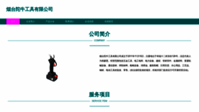 What Ytoiu.cn website looked like in 2023 (This year)