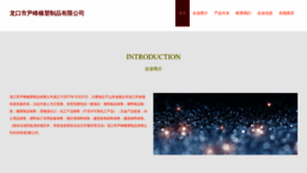 What Yingfeimt.com website looks like in 2024 