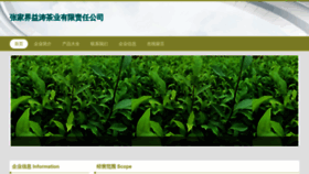 What Yiptao.com website looks like in 2024 