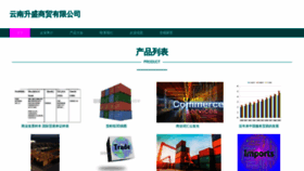 What Ynsensheng.com website looks like in 2024 
