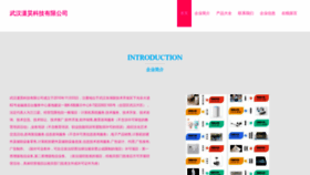 What Yuanxiaohao.com website looks like in 2024 