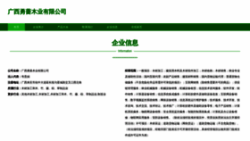 What Ynyongqiang.com website looks like in 2024 