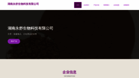 What Yongshu168.com website looks like in 2024 