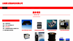What Ynfyt.cn website looks like in 2024 