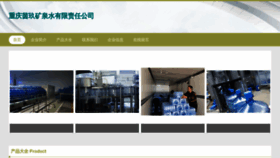 What Yingjiu666.com website looks like in 2024 