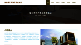 What Ytpingyi.com website looks like in 2024 
