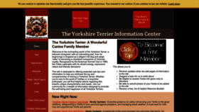 What Yorkieinfocenter.com website looks like in 2024 
